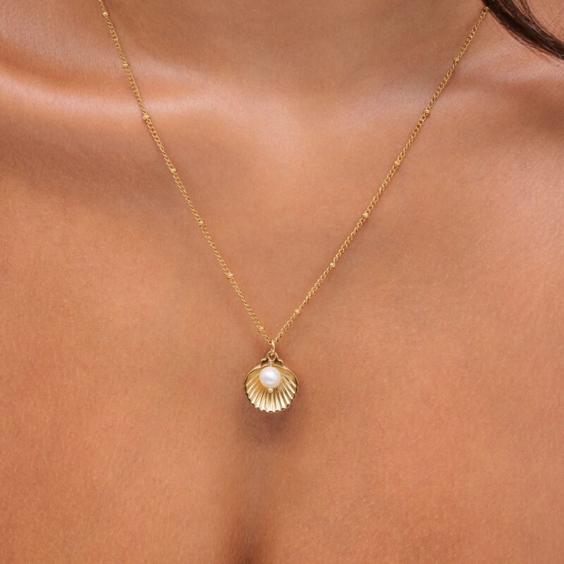 Alternative view of Seashell Necklace
